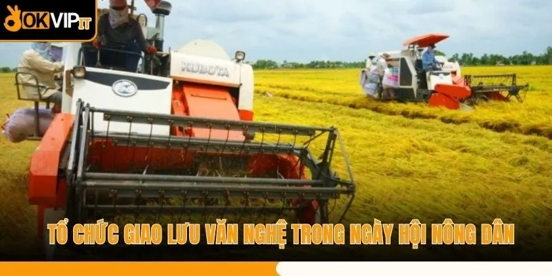 Tổ chức giao lưu văn nghệ trong ngày hội nông dân