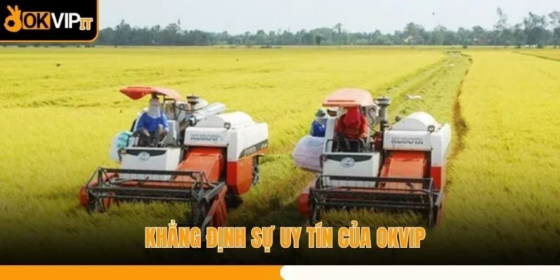 Khẳng định sự uy tín của OKVIP