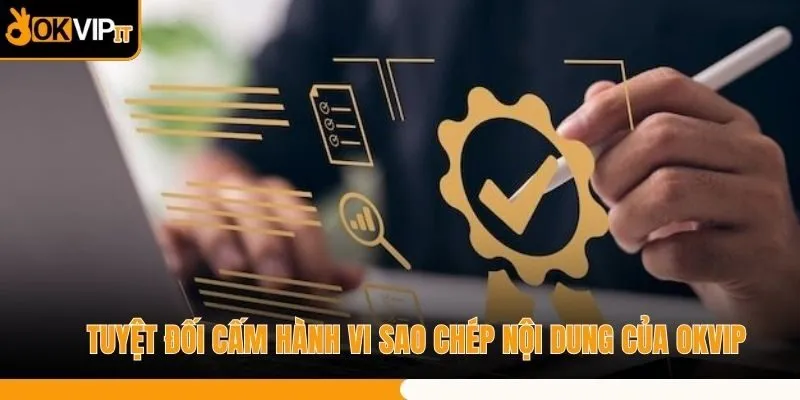 Tuyệt đối cấm hành vi sao chép nội dung của OKVIP
